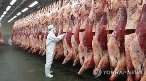 검역 아이콘