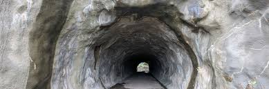 News source: 文春オンライン