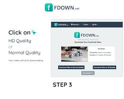 Fdown.net website