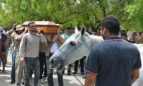 Ngựa - Tin tức mới nhất 24h qua - Báo VnExpress