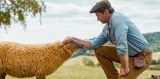 'The Sheep Detectives' is a children's movie with depth | Review