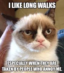 Funny Grumpy Cat Quotes - Pictures Worth Sharing! | Pets World via Relatably.com