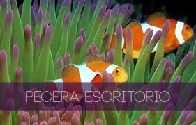 Resultado de imagen para fondos