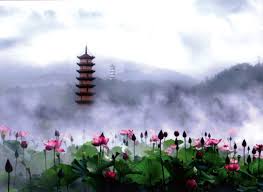   Photography 攝影特區