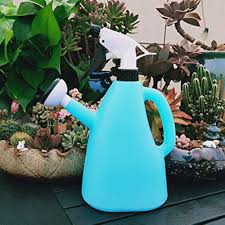 Dxent 1-Liter 2-in-1 Watering Can Sprinkler
