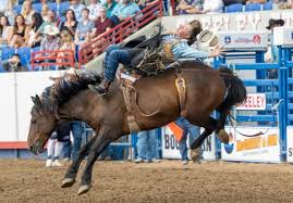 Greeley Tribune - News update