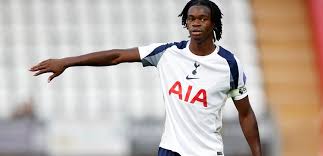 Tottenham Hotspur - News update