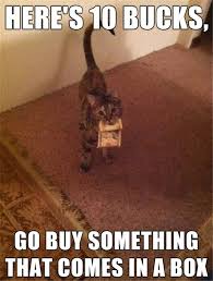 Image result for Animal Meme