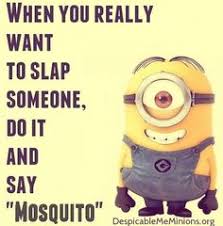 Image result for Funny quotes