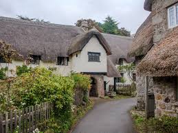 Devon Live - News update