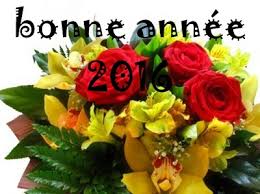 Résultat de recherche d'images pour "image bonne année 2016"