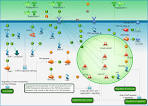 GSEA MSigDB Gene Set: REACTOME TIE2SIGNALING