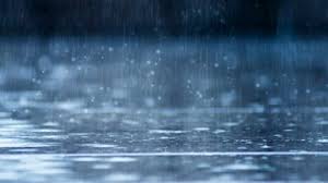 WLTX - News update