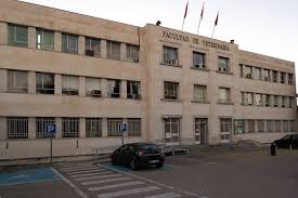 Diario Veterinario - News update