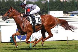 JRA-VAN World - News update