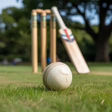 Burl’s heroics in vain as Zimbabwe crumble in Pindi