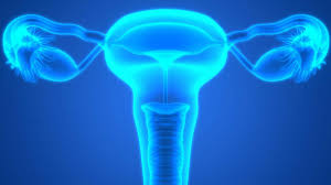 Mayo Clinic News Network - News update