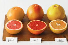 Image result for grapefruit
