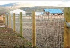 Image result for non climb fence