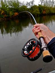 Hasil gambar untuk fly fishing rods