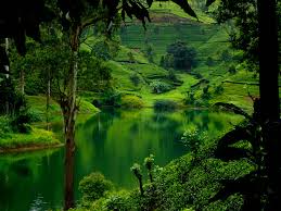Image result for beauty of sri lanka