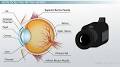 Retina eye function from study.com