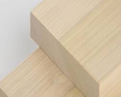 Hình ảnh về Gỗ bạch dương ở New Zealand