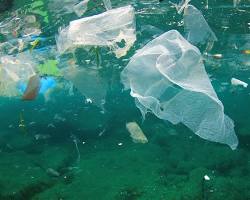 Image of Plastic trash sinking into the deep ocean