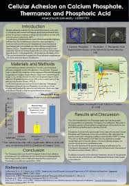 Louise Radley\u0026#39;s Web Project - Poster - cell_adhesion_poster