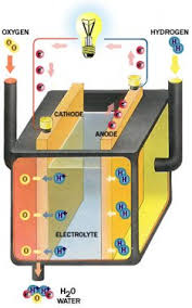 ผลการค้นหารูปภาพสำหรับ F (Fuel Cell)  เซลล์เชื้อเพลิง
