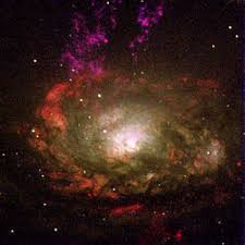 Image result for circinus galaxy