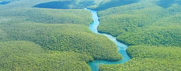 Image result for amazon river