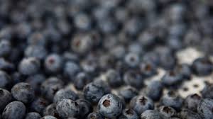 FDA Issues High-Level Risk Warning Regarding Frozen Blueberries