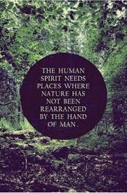Inspirational Nature Quotes on Pinterest | John Muir, Henry David ... via Relatably.com