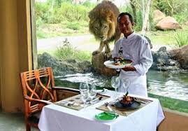 Hasil gambar untuk bali safari marine park