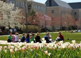 Image result for springtime at university