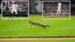 MLB.com - News update