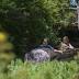 Youths learn about wetlands at Fort Wayne Children's Zoo
