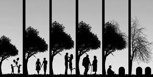 Image result for ‫عشق‬&lrm;