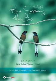 Hasil gambar untuk murai batu