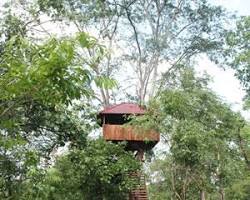 A beautiful treehouse villa high in the canopy at Chheuteal Treehouse Village.