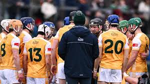 Antrim GAA: Senior hurlers request meeting with county board over Davy Fitzgerald position