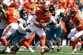 Bengals fan sentiment & predictions