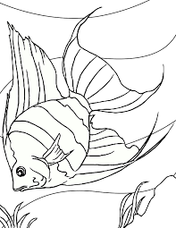 fish coloring pages ile ilgili görsel sonucu