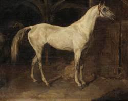 Image result for gericault horse