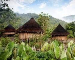 Gambar traditional Papuan village with thatched houses and lush greenery