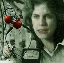 Scientology attorney Helena Kobrin auditing a tomato - hkkomat2