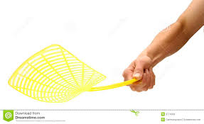 Image result for fly swatter