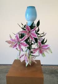 Image result for tony matelli