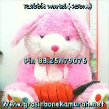 Image result for FOTO BONEKA